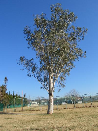 ここから全てがはじまった