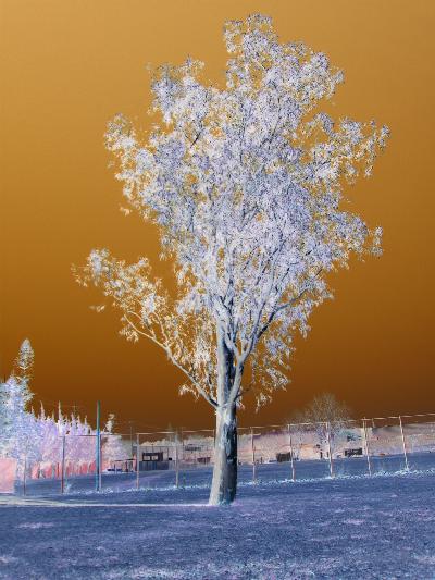 ここから全てがはじまった