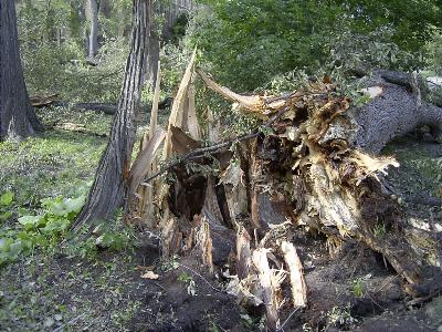 ここから全てがはじまった