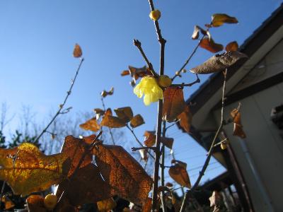 ここから全てがはじまった