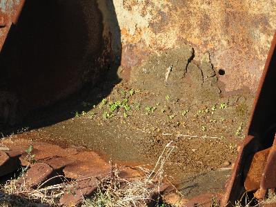 ここから全てがはじまった