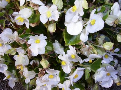 ここから全てがはじまった