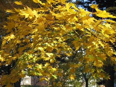 ここから全てがはじまった